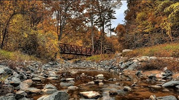 Bubble Relaxing Music - Beautiful Morning Commute Study Enjoy Coffee