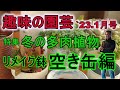 [ガーデニング] NHKテキスト 趣味の園芸2023年1月号 特集 冬の多肉植物「リメイク鉢で多肉をもっと愛そう」解説 空き缶編