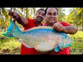 PARROT FISH FINGERS | Crispy Fish Fingers | Kizhi Meen Recipe | Village Style Cooking | WFT