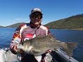 Somerset Dam Bass Spoons and Jig Tips 2020