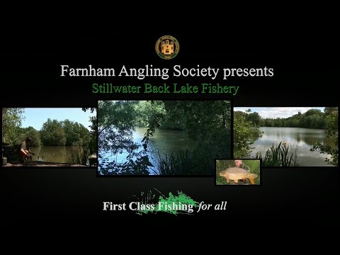 Farnham Angling Society Stillwater Back Lake fishery