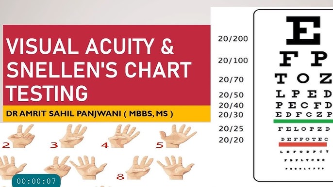 Figure, A Snellen eye chart for visual acuity testing.] - StatPearls - NCBI  Bookshelf