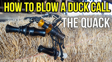 The Quack | How To Blow A Duck Call
