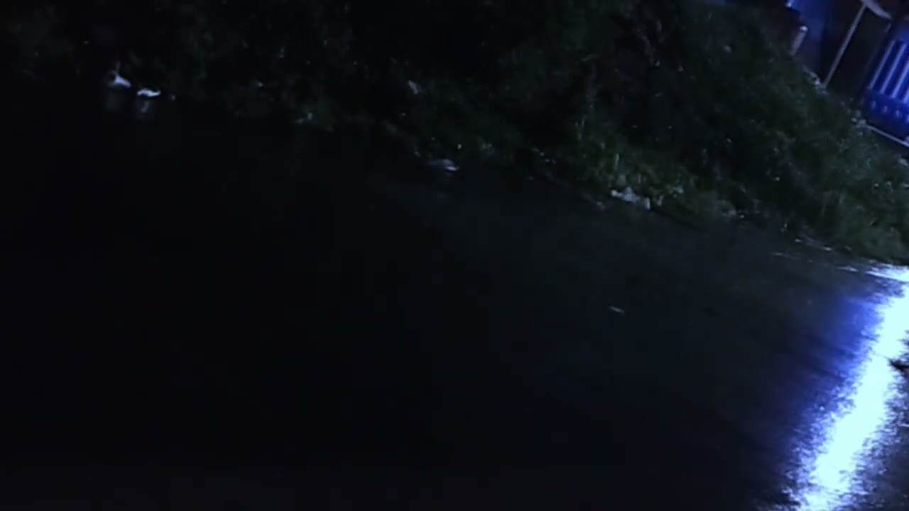 Calming Night Rain Sounds for Deep Sleep & Total Relaxation