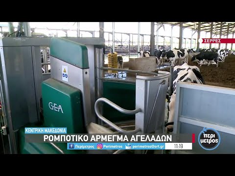 Βίντεο: Οι αγελάδες γαλακτοπαραγωγής συμπληρώνονται με b12;