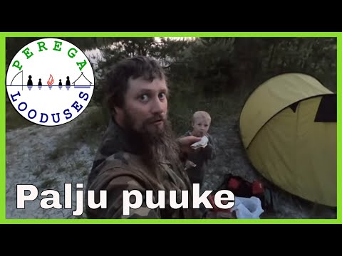 Video: Kuidas: Luua Rahulik Ja Positiivne Kodu - Matador Network