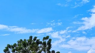 JHOAN TV CHANNEL screenshot 2