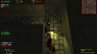 Dead Frontier Arena - Hashem Talkin And Laggin screenshot 5
