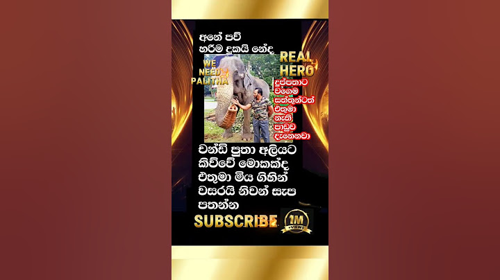 පාලිත අලියට කිව්වේ 😥 මොකද්ද Paliha Welfare Services #palithathewarapperuma #death #funeral #shorts