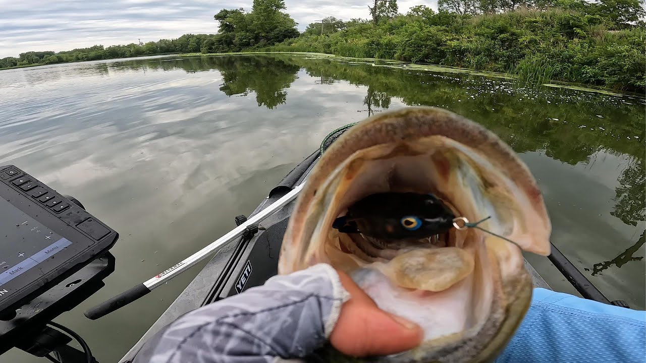Summer Time Bass Fishing (Frog)