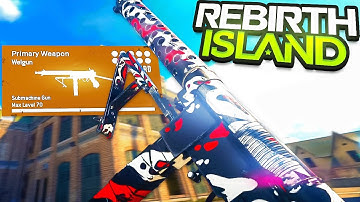 the WELGUN is BROKEN in WARZONE... (Best Welgun Class Setup)