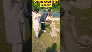 Cutting wood ? in kashmir with new style ? village Cuttingwood Shorts @TalhaPashavlogs