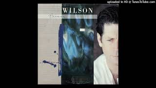 Brian Wilson - Baby Let Your Hair Grow Long - Vinyl Rip