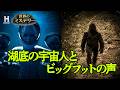【本物か？】ビッグフットの声と湖底で目撃された宇宙人の謎｜ザ・未確認スペシャル　証拠はそこにある！ S2 #19
