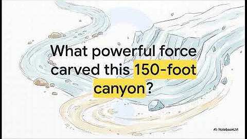 The Canyon We Made - Georgia Standards of Excellence - 5th Grade Science