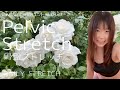  【DailyStretch】Pelvic Stretch 骨盤ストレッチ