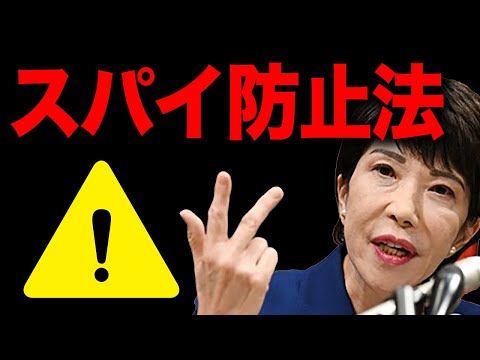 The End of Japan?! The Truth About the Anti-Spying Law