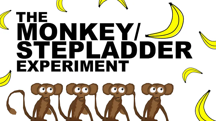 THE MONKEY/STEPLADDE...  EXPERIMENT