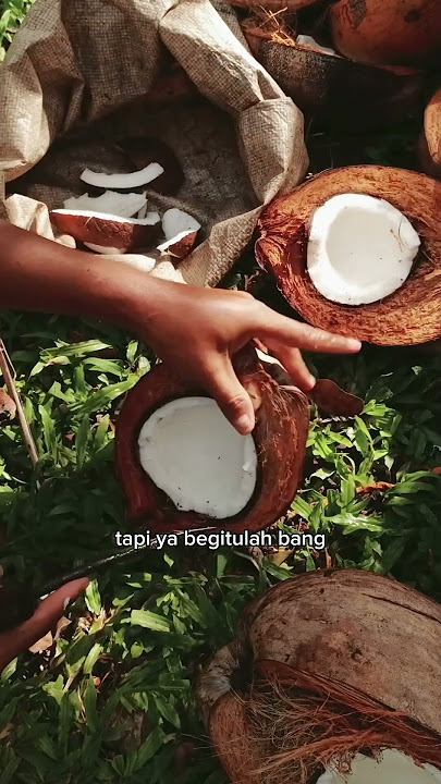 Gaak takut jari putus #kelapa