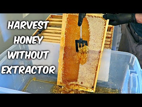 Harvest Honey - Part 4