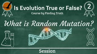 What is Random Mutation? | #EvolutionCourse | Session 2