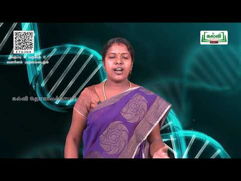 8TH SCIENCE KALVI TV VIDEIOS