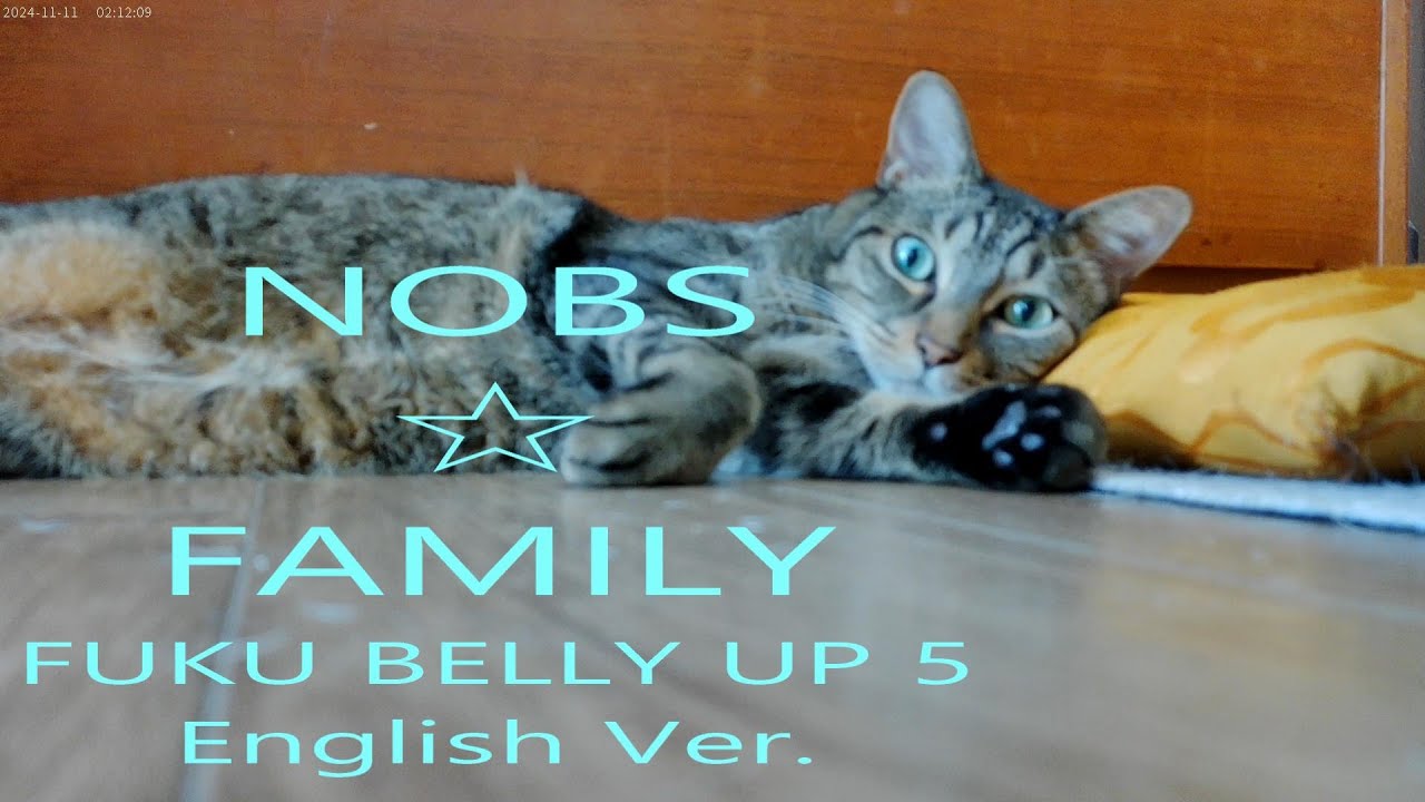 FUKU BELLY UP 5 English Ver.