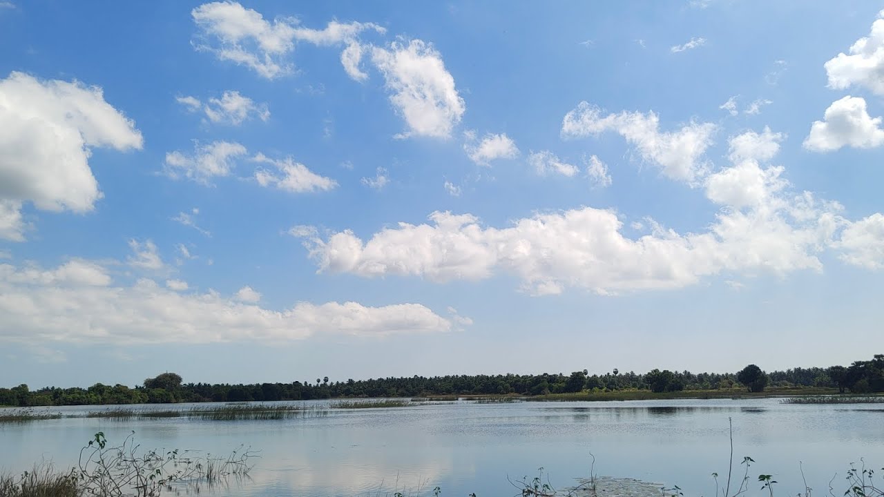 Immerse Yourself in Nature's Splendor: A Visual Tour of Beautiful ...