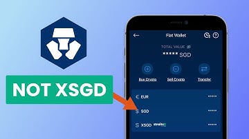 I Transferred $100 SGD To The Crypto.com App [GUIDE]