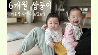 6개월 전후 쌍둥이 육아일기, 에듀테이블 트립트랩 구매후기, 이유식 시작