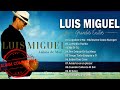 Luis Miguel SUS MEJORES CANCIONES - Luis Miguel 90s Sus EXITOS Romanticos 💖💖