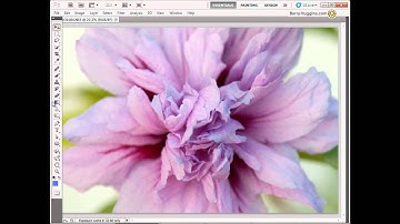 "Photoshop video quick tips"  Photoshop technique  to hide and reveal  interface elements