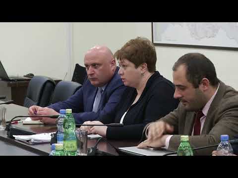 მაია ცქიტიშვილმა სამშენებლო და საზედამხედველო კომპანიებისგან განმარტება მოითხოვა