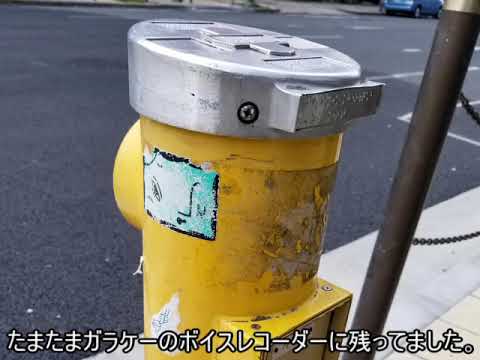 信号機ネタ 岸和田の音痴な信号機を再現してみた 探偵ナイトスクープ