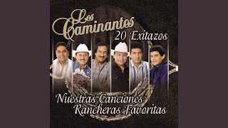 Video thumbnail of "Los Caminantes - Las Gaviotas"