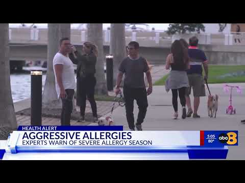 Pollen In Richmond Va 24