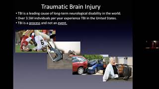 Treatment Strategies to Reverse Cognitive Decline after Brain Injury and Aging