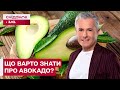 АВОКАДО – МОДНИЙ СИМВОЛ ЗДОРОВ'Я! Але як правильно їх обирати?