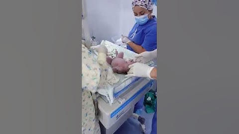nacimiento de maxi