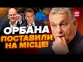 😈Орбан РОЗІРВЕТЬСЯ від злості! / Шольц та Макрон таки ЗНАЙДУТЬ Україні гроші