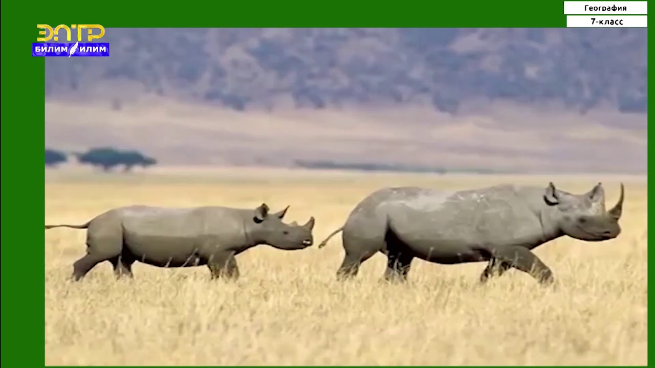 Егде жастағы әйелдерге арналған анальды фистинг порно Android үшін жыныстық түтік