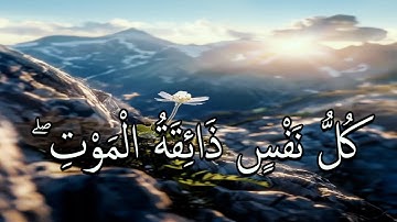 أرح سمعك.. تلاوة هادئة تريح القلب والعقل🤎😴 - ساعة كاملة🕛🎧 القارئ محمد ديبيروف - Muhammad Dibirov