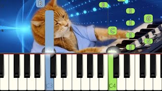 Keyboard Cat Song (Piano Tutorial) [Synthesia]