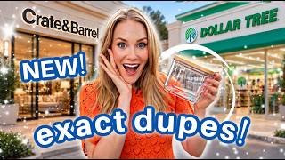 REAL Dollar Tree Crate & Barrel ORGANIZATION! (Just Released!)