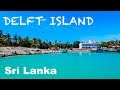 SRI LANKA'S SECRET HIDDEN PARADISE | DELFT ISLAND JAFFNA