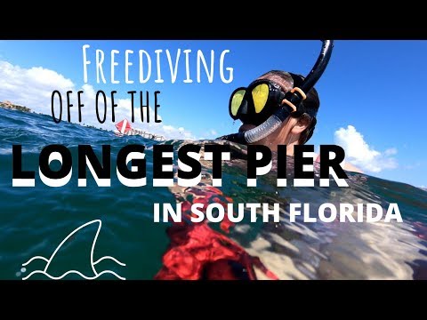 Freediving Off of the LONGEST Pier in South Florida