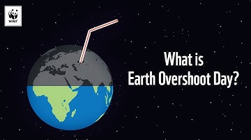 What is Earth Overshoot Day? 🌏☄️ | WWF-Australia
