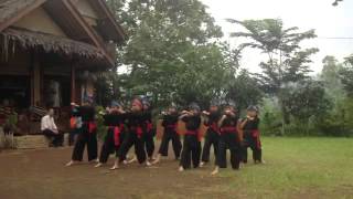 Pencak Silat. I Love budaya lokal, I Love Indonesia.