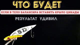 видео: Что будет, если поставить на тело балансира крыло от цикады? картинка: Что будет, если поставить на тело балансира крыло от цикады?