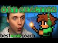 Terraria music teacher reacts reaction  breakdown  original sound track ost